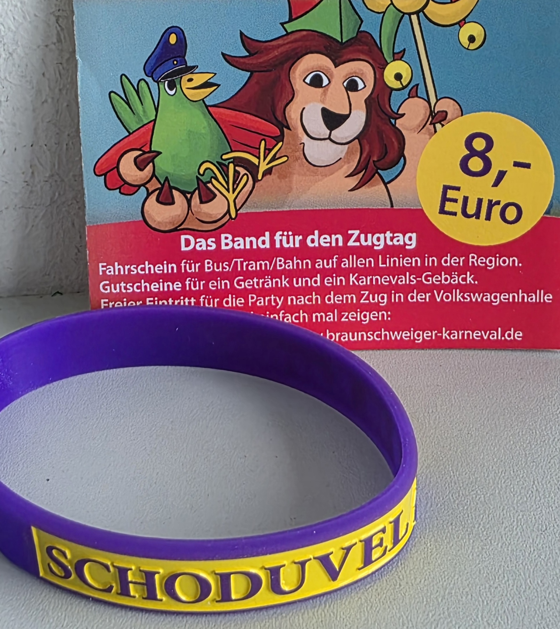 Günstig mit der Bahn zum Karneval im Raum Braunschweig